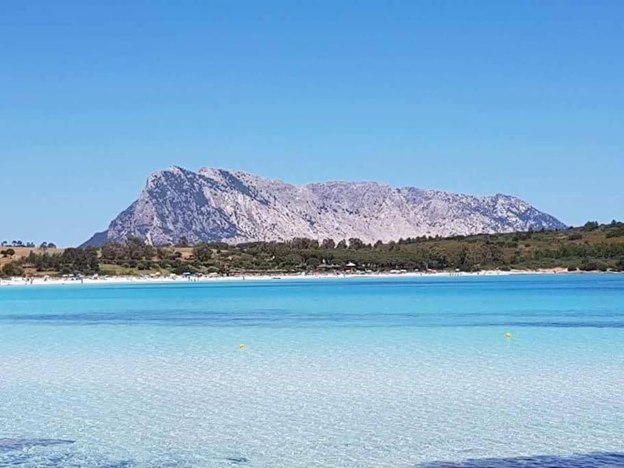 Amazing House 10 Min By Car From The Beach Olbia Eksteriør bilde