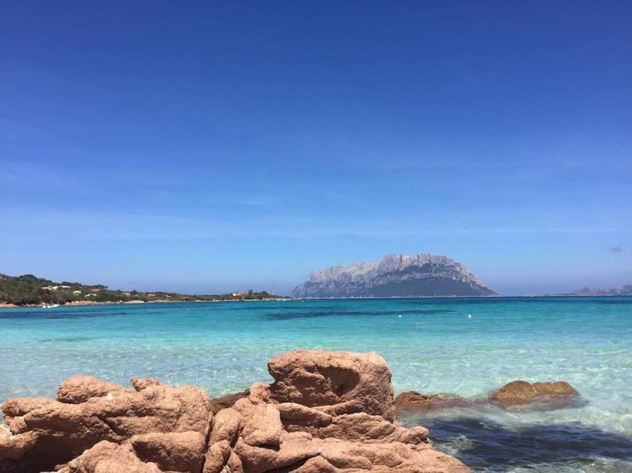 Amazing House 10 Min By Car From The Beach Olbia Eksteriør bilde