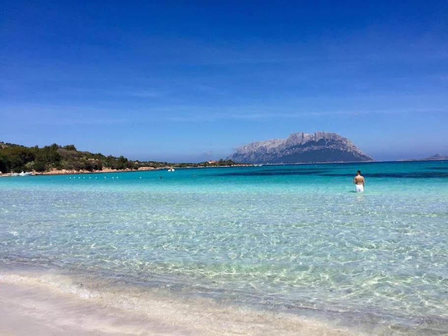 Amazing House 10 Min By Car From The Beach Olbia Eksteriør bilde